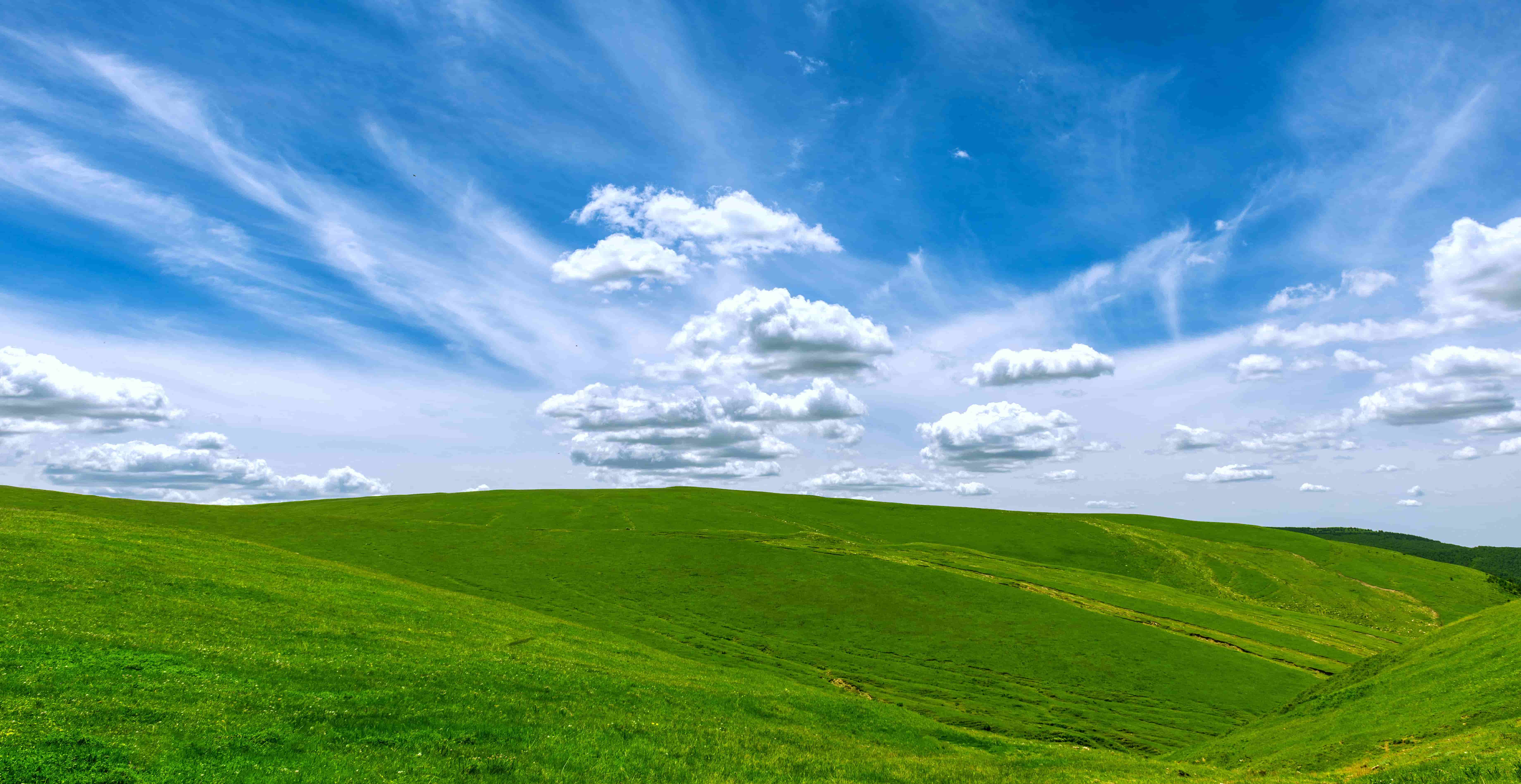 KU���ι���-�����ɾͷǷ�,����Ʒ������
